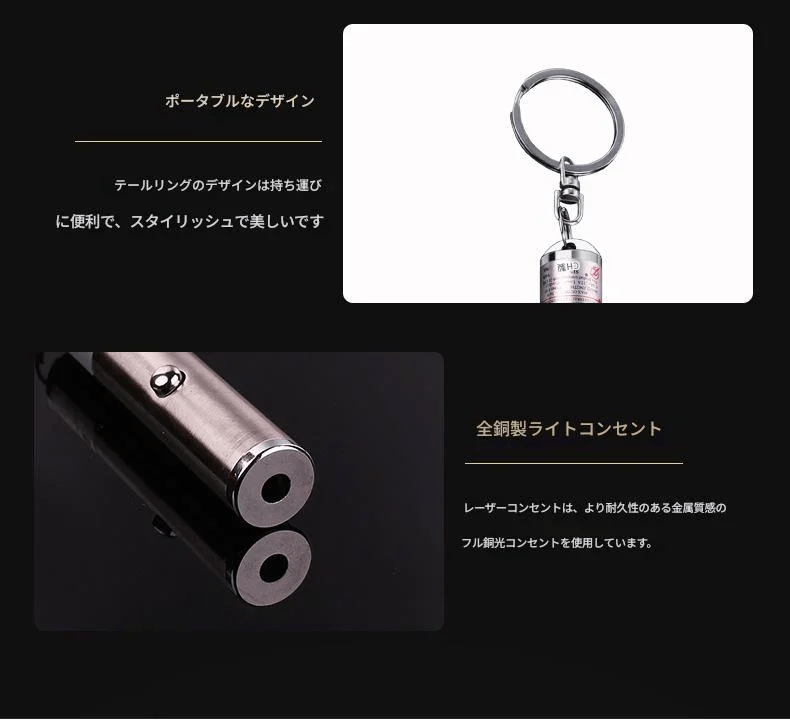 赤色レーザーポインター 20mW 激安 キーホルダー型 650nm 自動ロック 常時オン 理科実験 星空解説 運転指示 不動産案内 プレゼン用 小型軽量 持ち運び便利 安価通販 教育現場対応 業務用 光点 - 光点